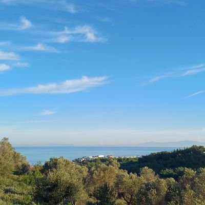 Serkansci3's profile picture. İ.Ü'lü,Beşiktaşlı,15 sene Dış Ticaret ve Lojistik Uzmanı araya 23 sene Spk D2 ve 1sene Türev Lisanslı.48 senedir İstanbul aşığı
🇹🇷👪⚽️🎾⛷🏎🕹🎲⛪⌚🚘📈🦅🍅🚏🏗