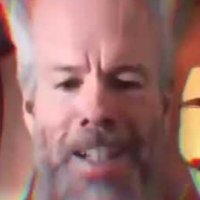 0x (@allownegative) 's Twitter Profile