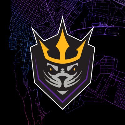 SealsLax Profile Picture