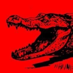 SwampCommunist Profile Picture