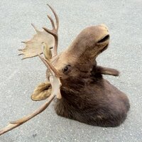 David Peters (@dmcmpeters) 's Twitter Profile Photo