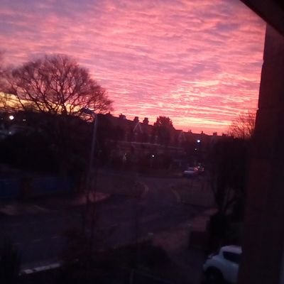 hellspj13's profile picture. Illustrator and designer.