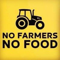 Paula’s Farm (@lowdubbsstud) 's Twitter Profile