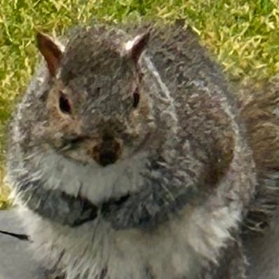 33facelessnames's profile picture. 