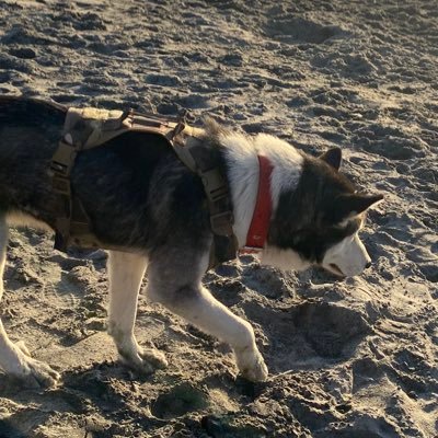 dada__nini's profile picture. 23 ; solo retweets