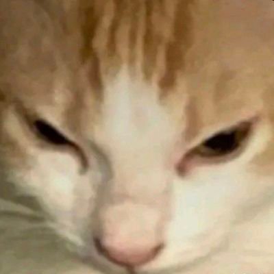 LRANJA_'s profile picture. ele | ela | 19