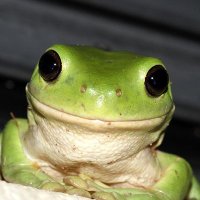 Louise ππ¦πͺΌ (@bitingcreature) 's Twitter Profile