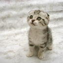 David Boyer - @IronDaveBoyer - Twitter