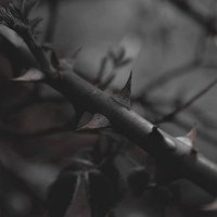 Necesito vuestra ayuda. (@needtoh3lp) 's Twitter Profile