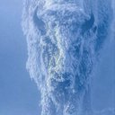 Alan Aitken Ferguson - @alan_aitke31935 - Twitter