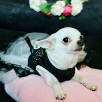 hershey08 (@leizer08) 's Twitter Profile