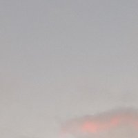 🐿🐿 (@matthew15346422) 's Twitter Profile