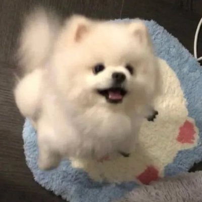 Asiamahy3k's profile picture. Believe in yourself first, then others will believe in you.