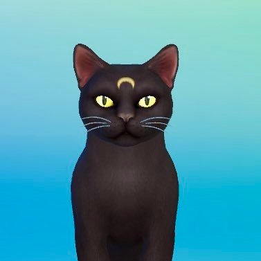 she/her • 26 • sims girl • ts4 builder • cat lover • 🦙🌱🐮 // Gallery ID: kityyla