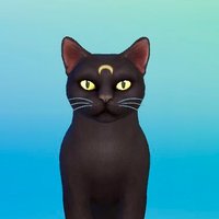Kityyla 🐈💚 (@kityyla) 's Twitter Profile Photo Kityyla 🐈💚 (@kityyla) 's Twitter Profile Photo