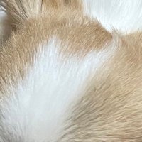 に (@donyoku_jp) 's Twitter Profile Photo