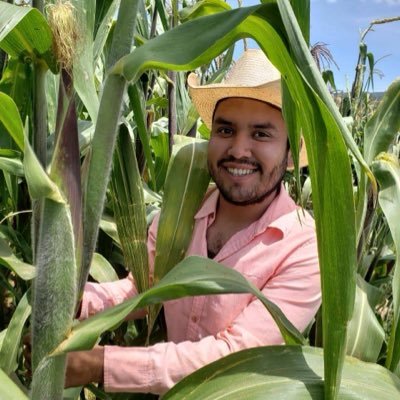 👨🏼🌾 Ing. Agrónomo | MBA en Negocios Agroalimentarios
🌱 Agricultura, ganadería y el lado estratégico del agro
📊 Historias, análisis y pasión por el campo
