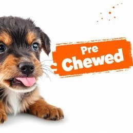 pre_chewed_news's profile picture. At Pre-Chewed, we promise to always put our love for dogs first, providing our readers with accurate, insightful, and engaging content.