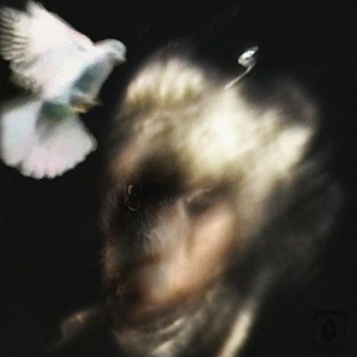 MGembes31030's profile picture. rappers are actors