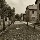 Marjorie Carmichael - @MarjorieCa59403 - Twitter