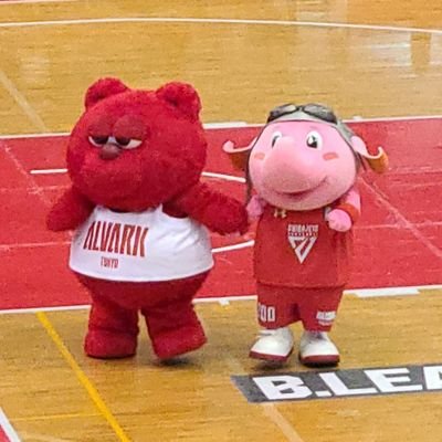 バスケ観戦🏀千葉ジェッツ｜アルバルク東京