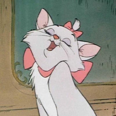 てんちゃんꕤ︎︎¨̮⃝