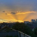 Coconut - @silvia_ray1402 - Twitter