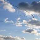 Vera Adler 📒 - @adler_vera67794 - Twitter