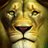 LeoKoin's profile image