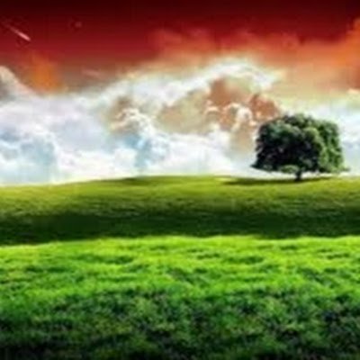 ILive95357's profile picture. 