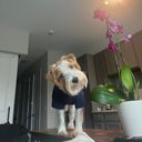 Jake Mario - @jakemario955 - Twitter