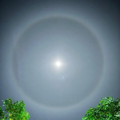 ButHaydon's profile picture. 