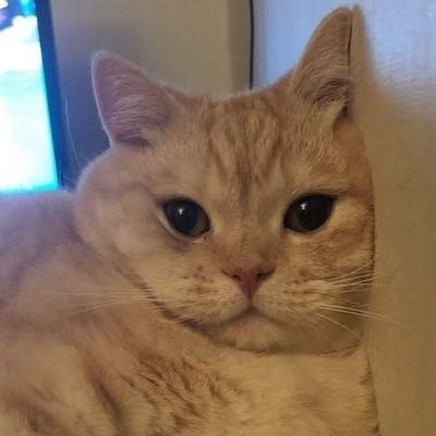 jaehyeon3439's profile picture. 