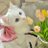lalastudytwt's profile image