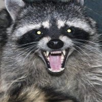 RedneckNerdGuyInTennessee (@rednecknerdman) 's Twitter Profile