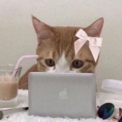 knifep1nk's profile picture. ⠀ ⠀
⠀i have complex feelings about cannibalism ^⁠_⁠^
⠀ ⠀  
⠀ ⠀