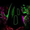 Gbybirth's profile picture. Yeah I’m here