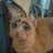 UwUwhatsdis's profile image