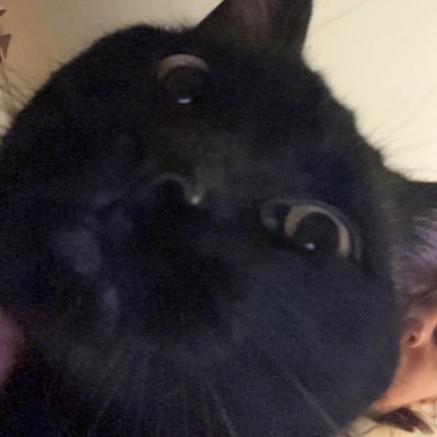 lovelatinamamis's profile picture. 817, Texan since '96. things reposted bc I may be too lazy to read them at the moment but might come back to it.