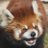 shunasama_love's profile image