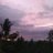 Shazmeen_Nisha's profile image