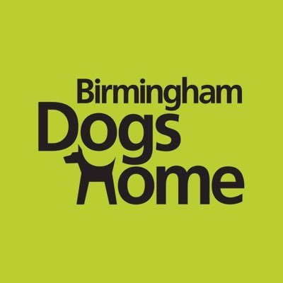 BhamDogsHome Profile Picture