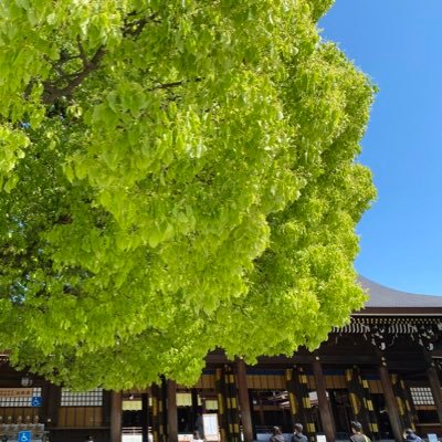 哲学・建築・音楽・インテリア・占星術をぐるぐる回る💫日々のちょっとしたことをつぶやきます