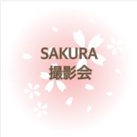 SAKURA撮影会(@Photo_opSAKURA) 's Twitter Profile Photo