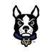 Vandebilt Catholic Football (@VCTerriersFB) Twitter profile photo