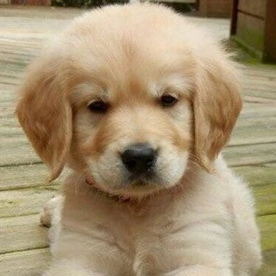 nishiy's profile picture. 
