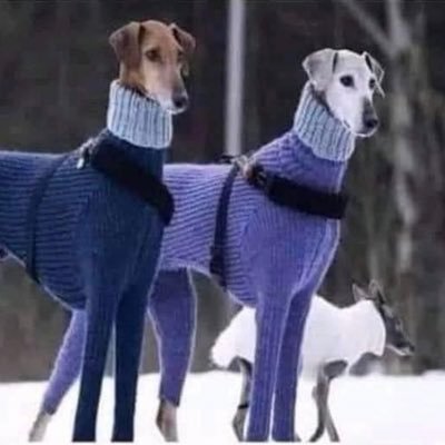 st6rship3's profile picture. 