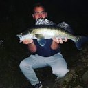 Andy Wallendorf - @AndyWallen67923 - Twitter