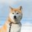 teruo_contrail's profile image