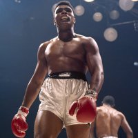 Bouafia « The Gorilla » Ilian (@bouafia_i) 's Twitter Profile